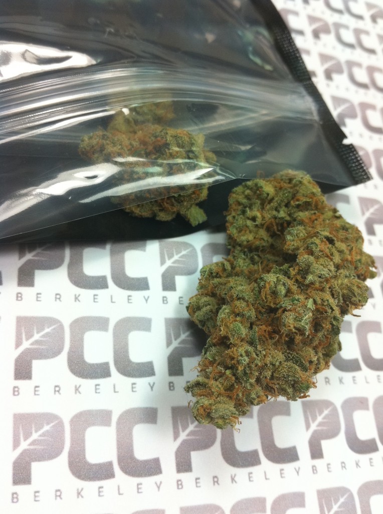 Jack Herer, PCC Reviews