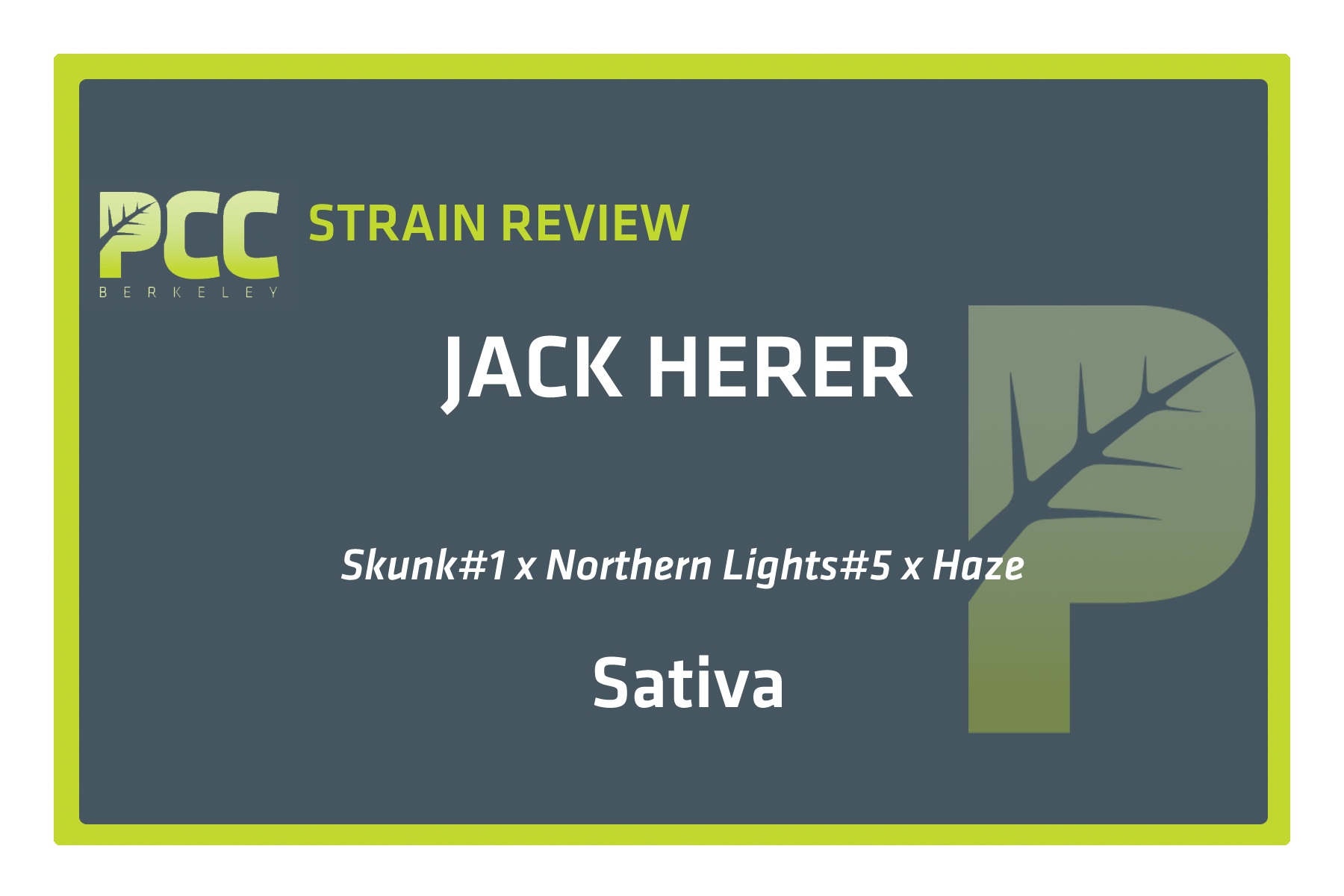 StrainReviewTemplate_JackHerer (1)new