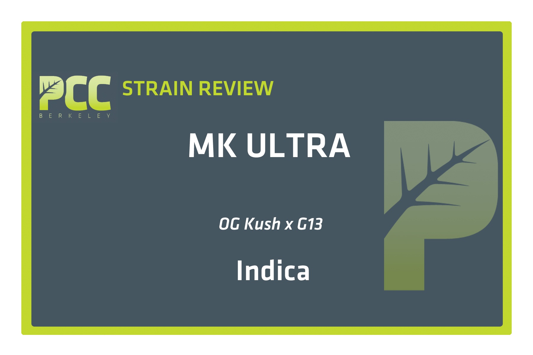 StrainReviewTemplate_MK (2)new