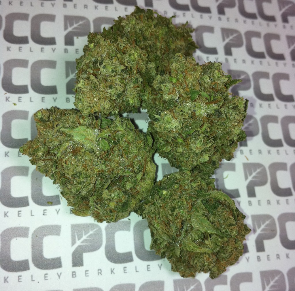 Durban Poison
