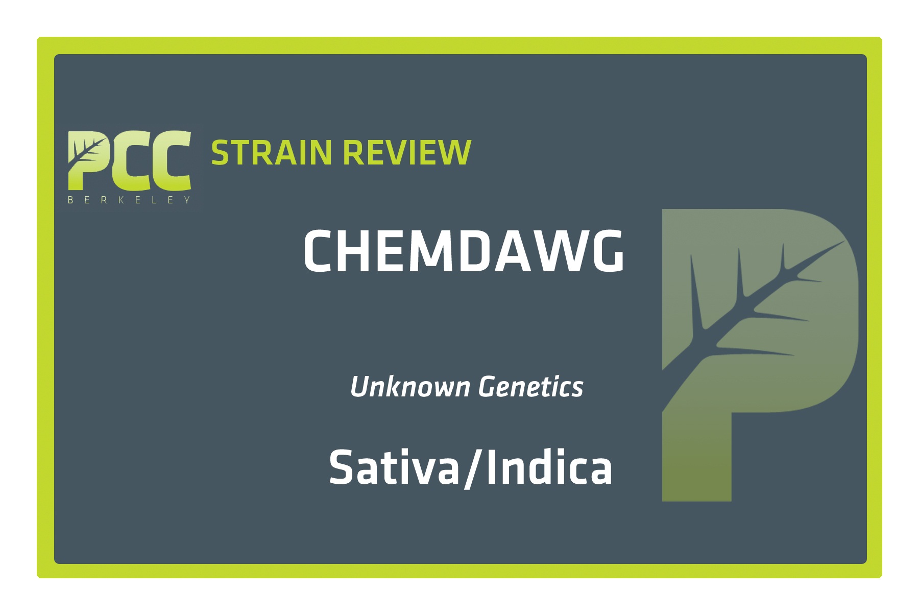 StrainReviewTemplate_Chemdawg