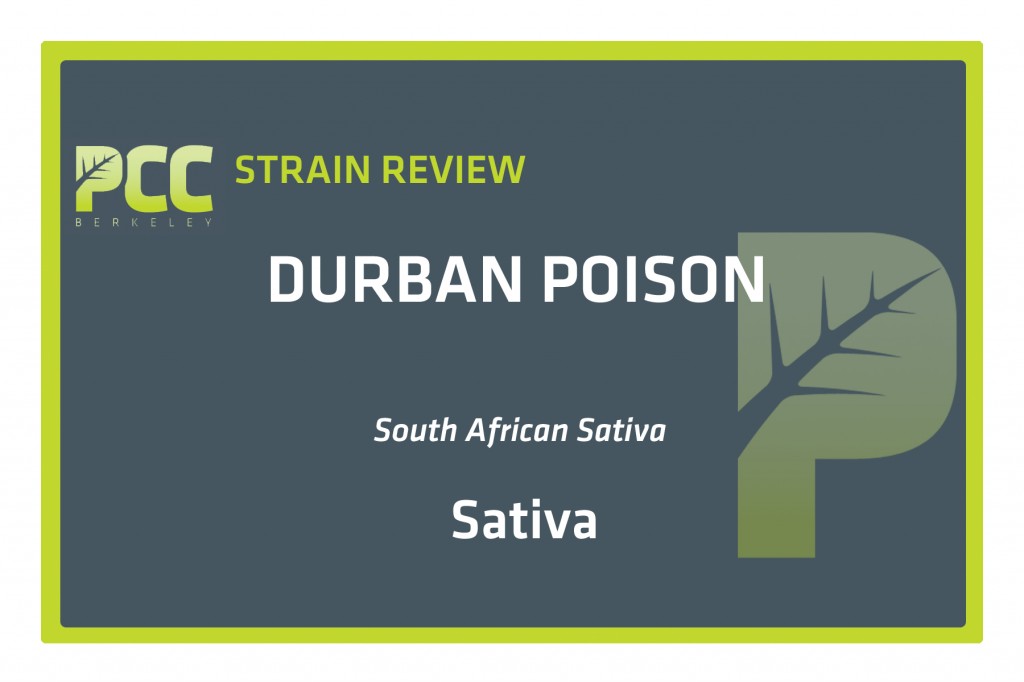 Durban Poison Review