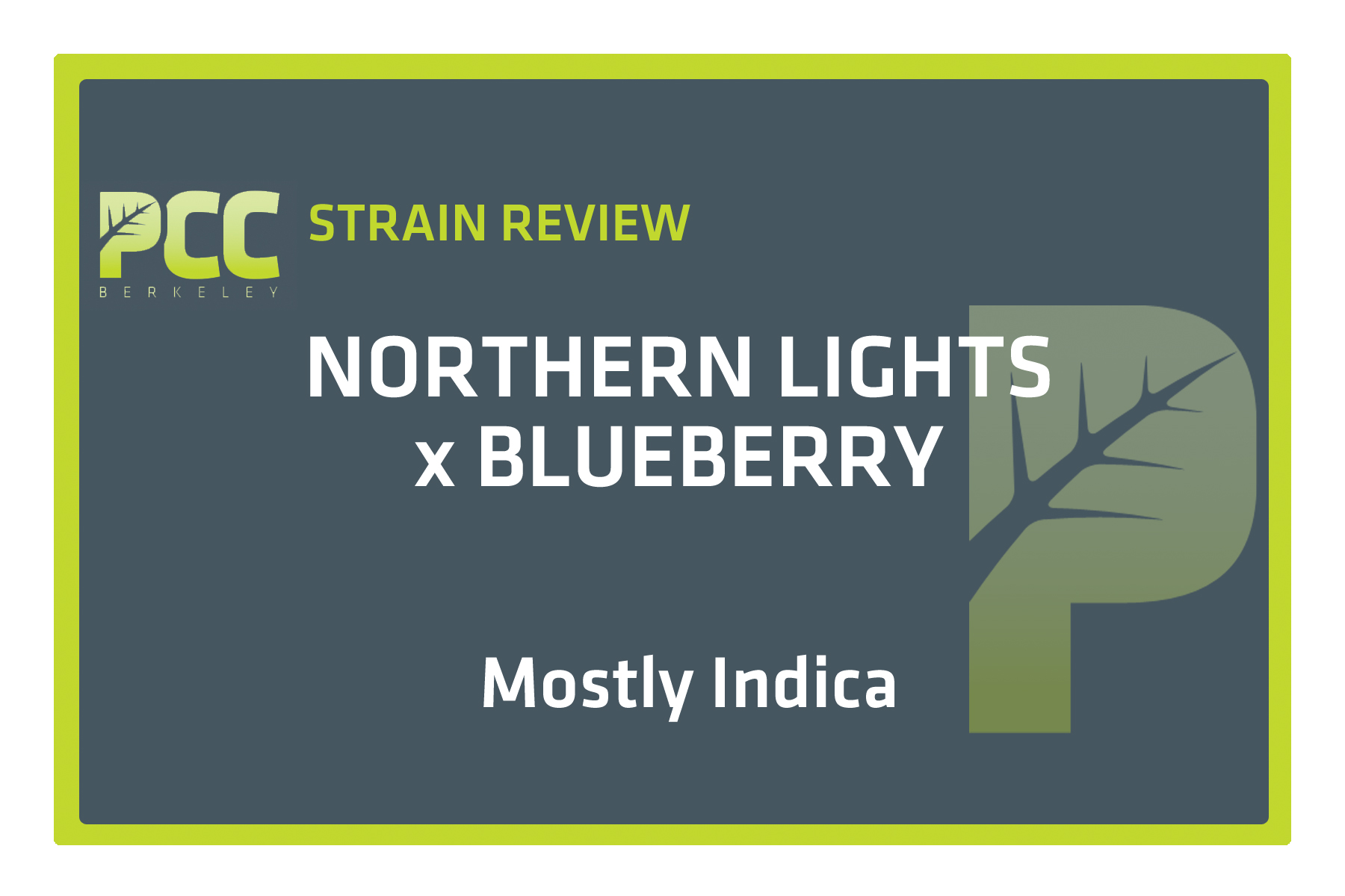 StrainReviewTemplate_Blueberry_X NorthernLights