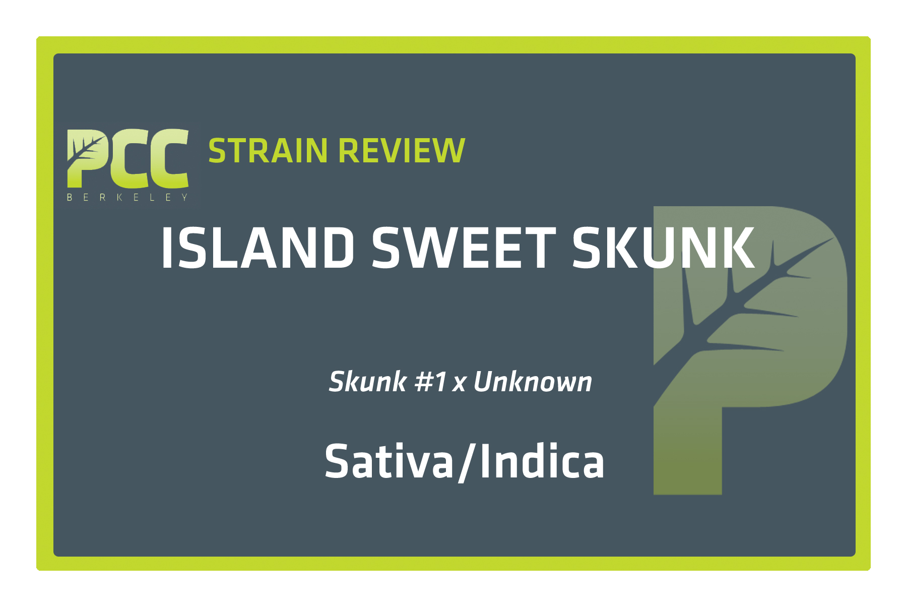 StrainReviewTemplate_IslandSweetSkunk
