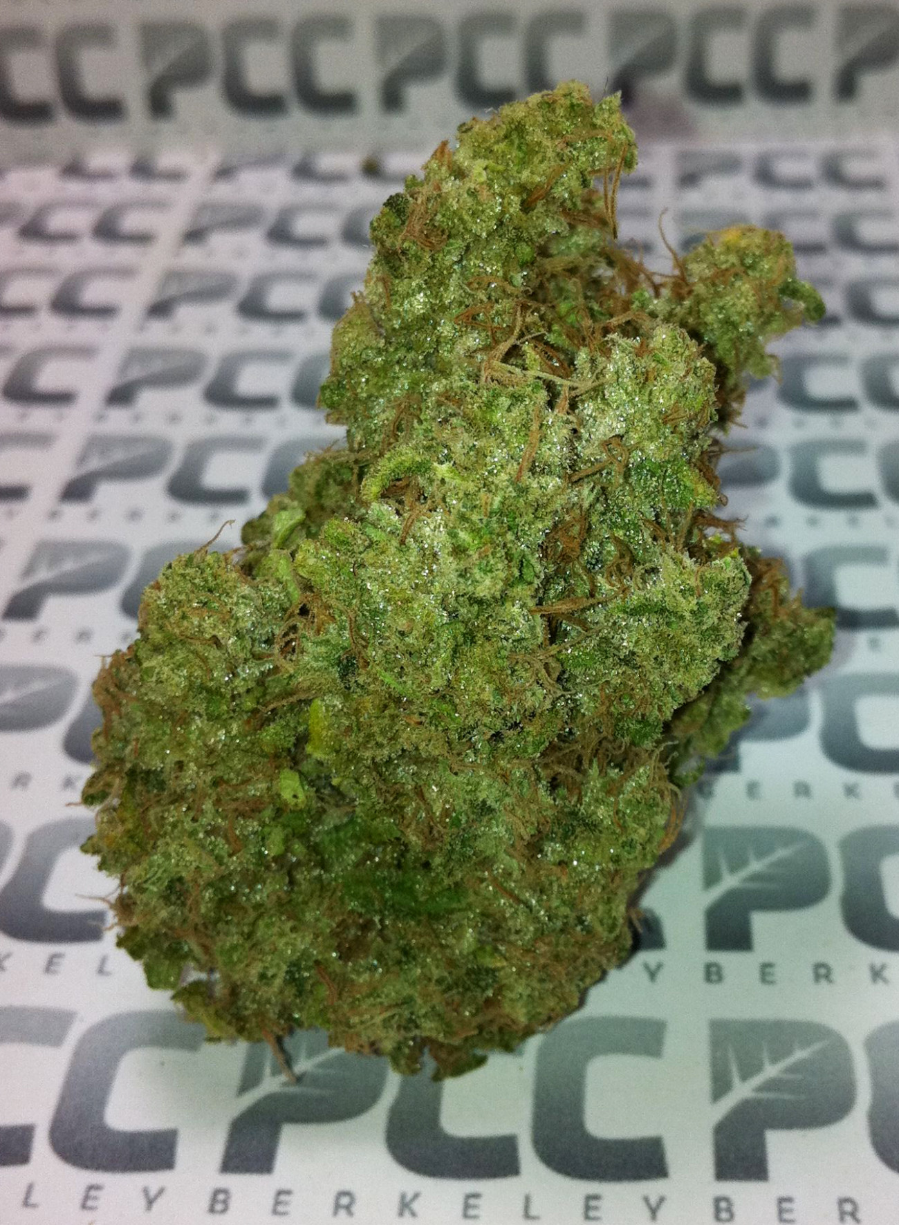 Staff Strain Report – Cherry AK