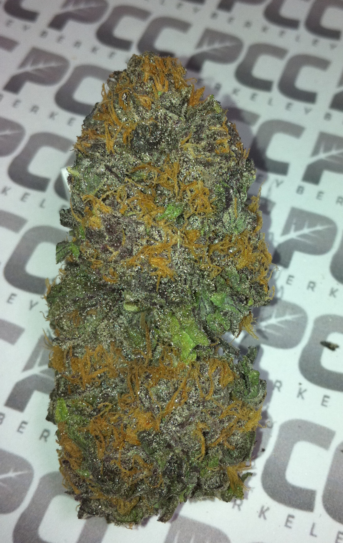 Staff Strain Report – Granddaddy Purple