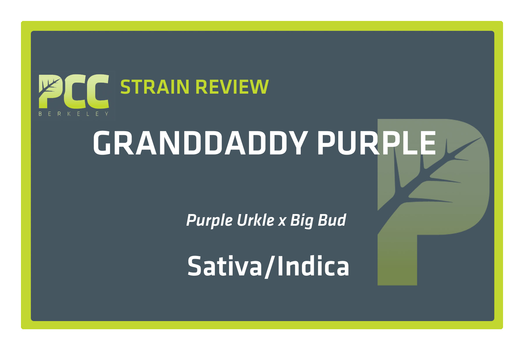StrainReviewTemplate_GrandddaddyPurple