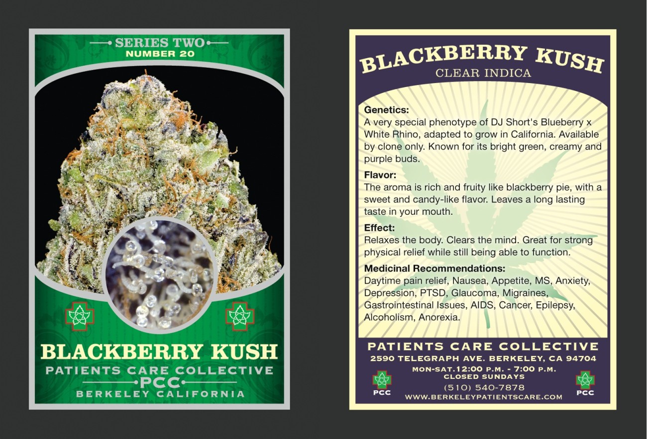 Blackberry Kush