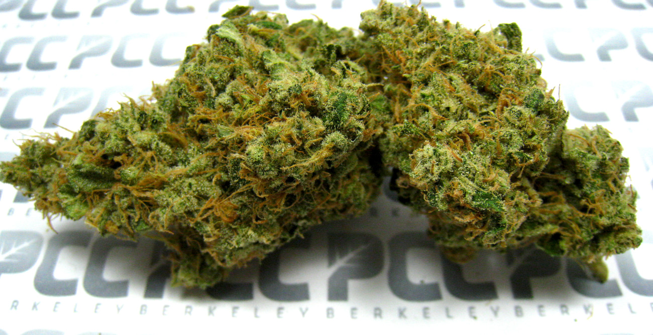 Staff Strain Report – Strawberry Kush