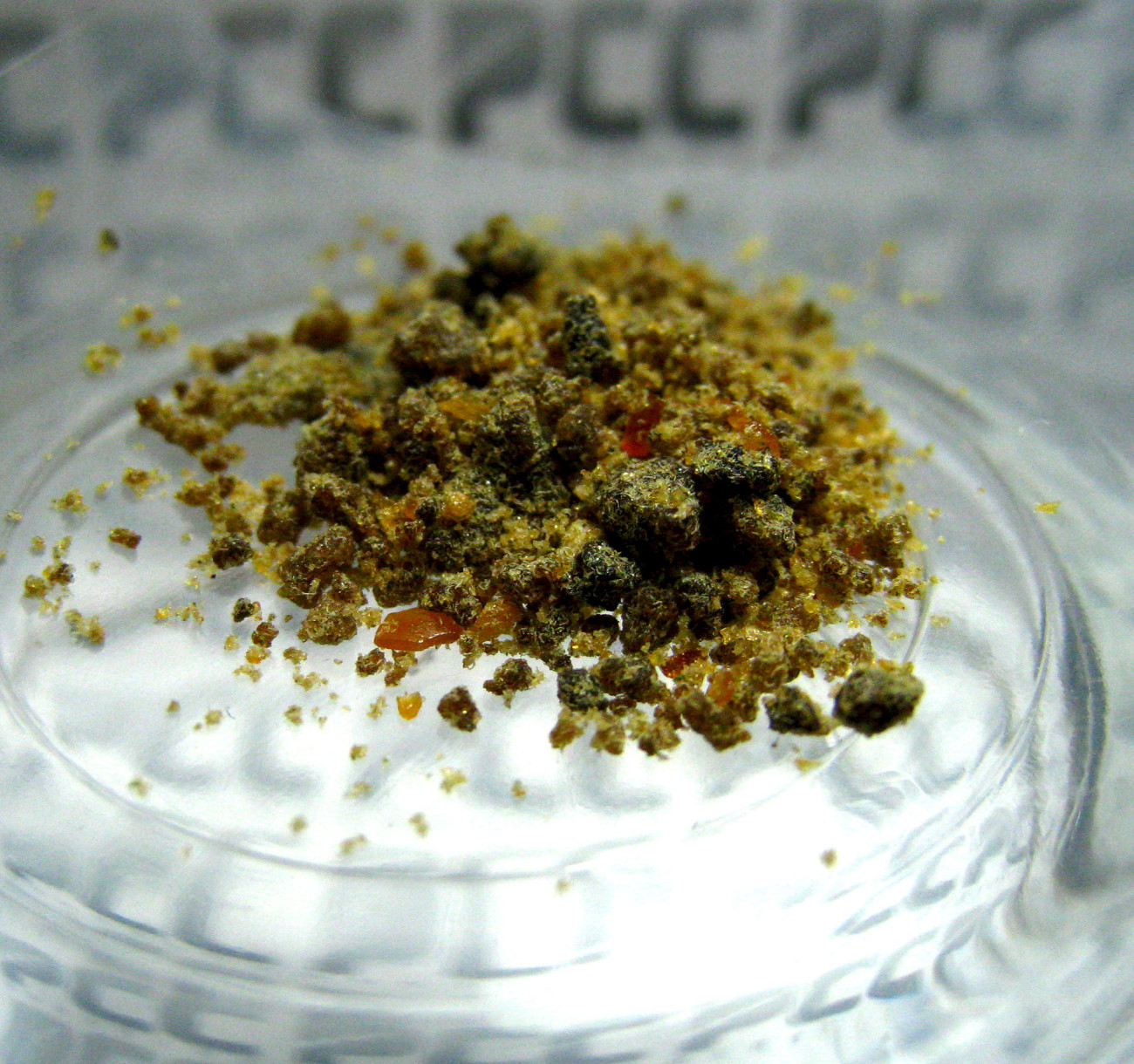 Staff Strain Report – “Kushmills” Triple Double Truffle