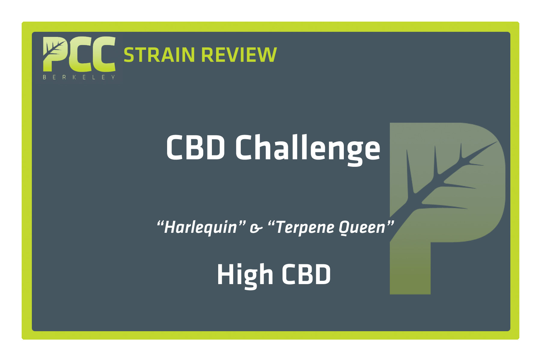 StrainReviewTemplate_CBD_Challenge