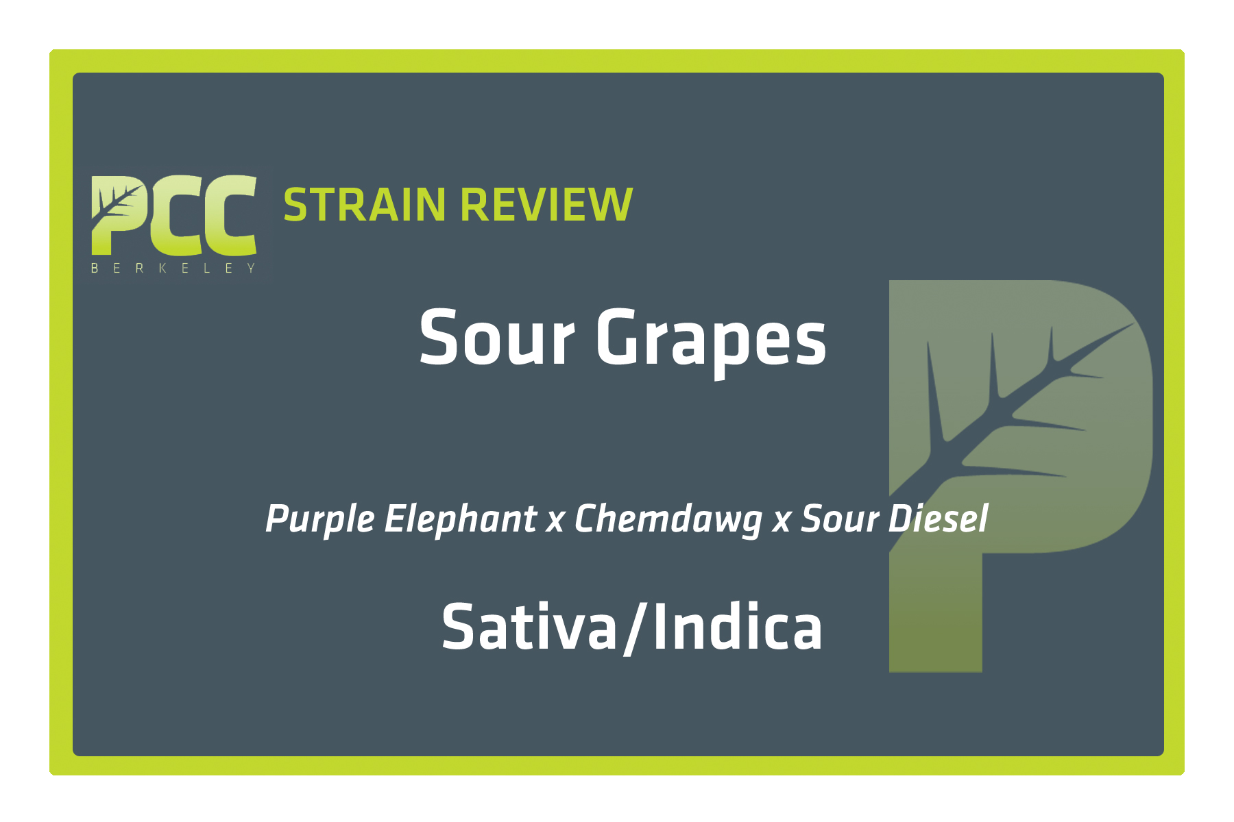 StrainReview_SourGrapes
