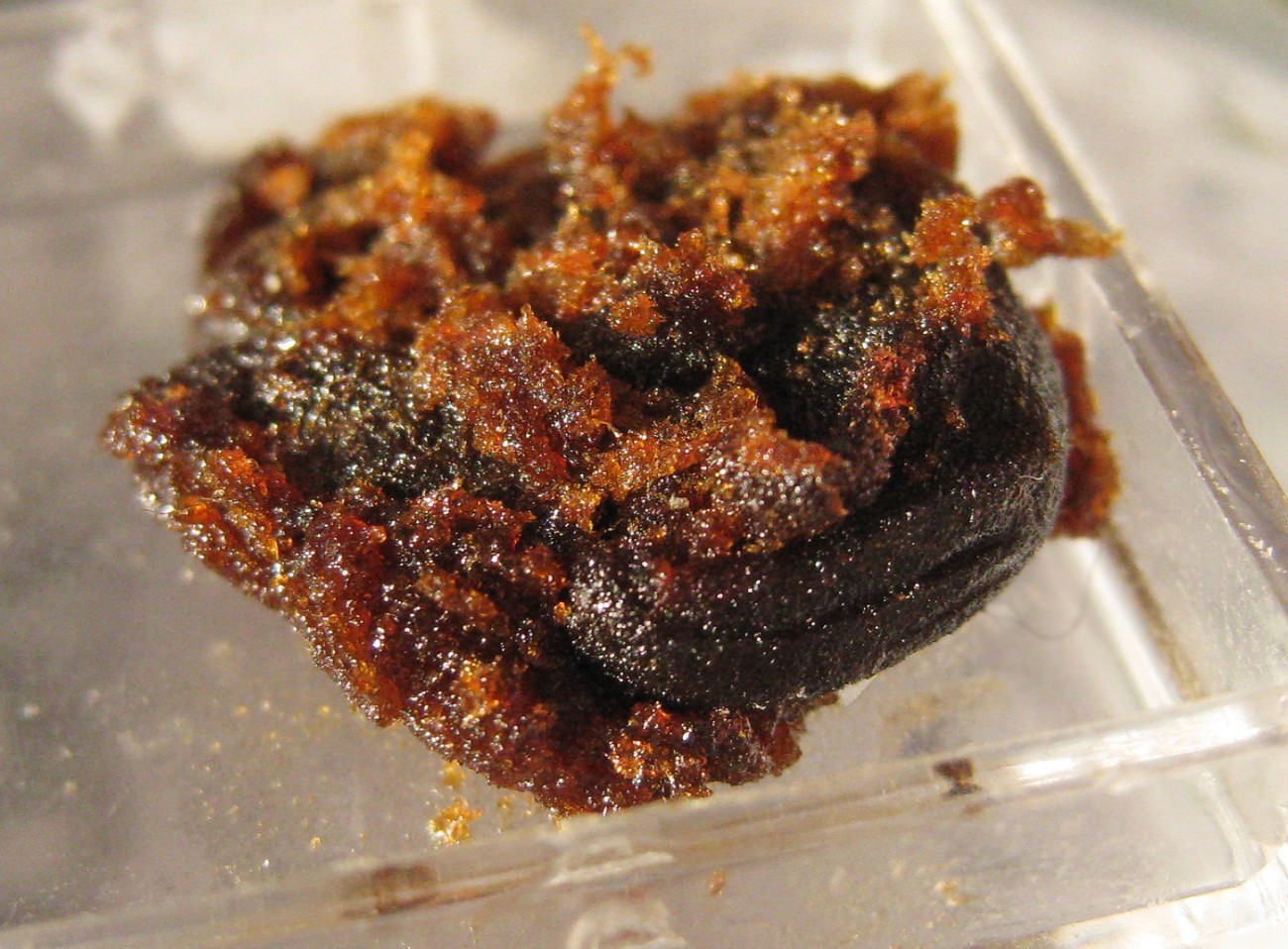 Staff Strain Review – Romulan Cold Water Hash