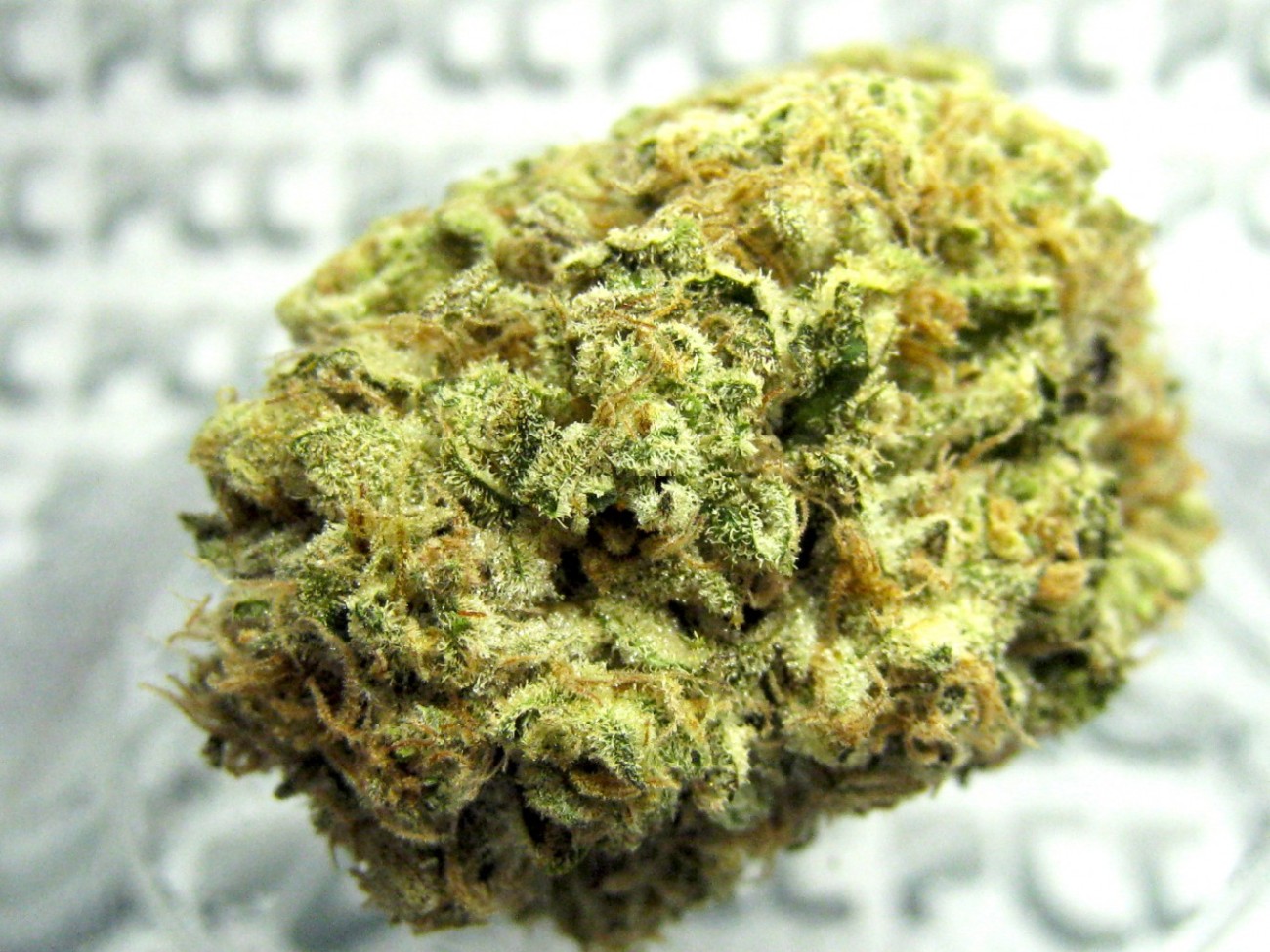 Staff Strain Report – Purple Trainwreck