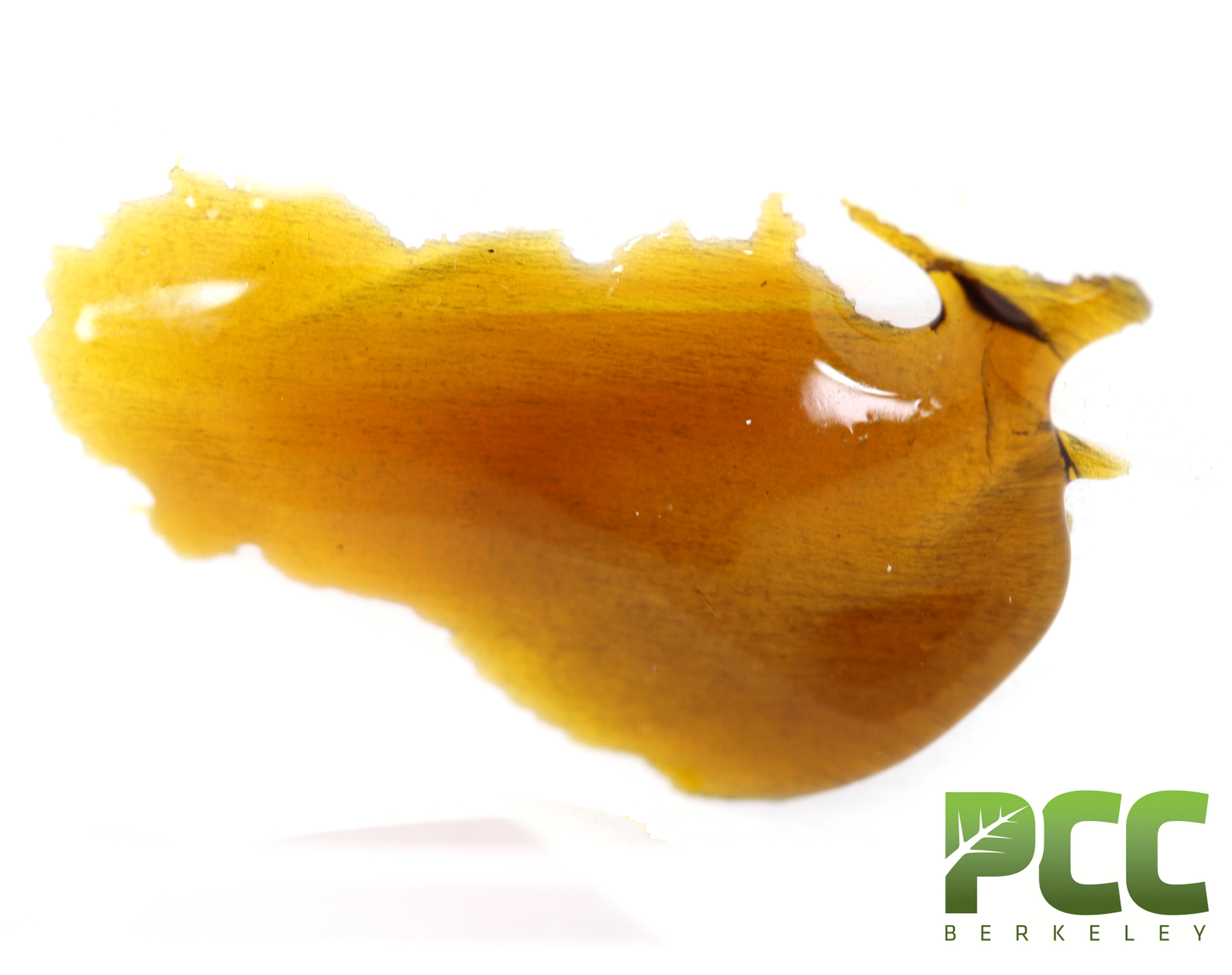 Fresh off the Bud Extractions