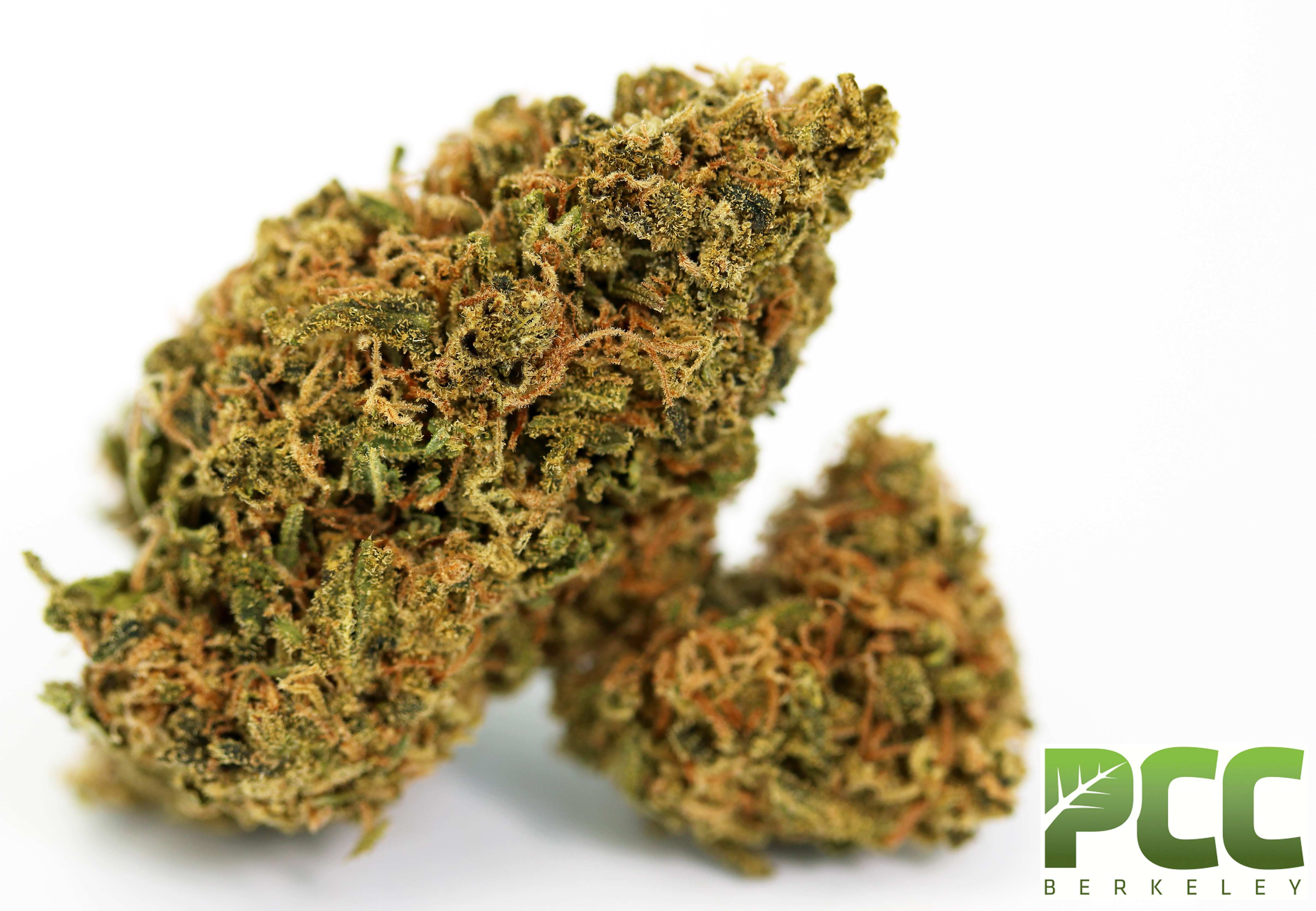 Lower Price, Same High Quality